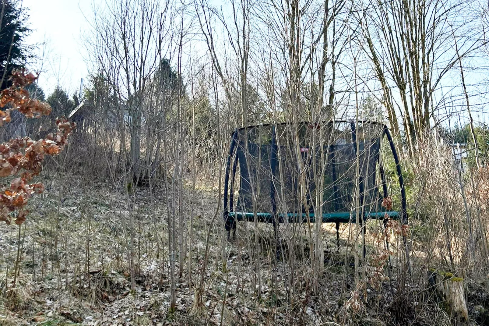 Modernes FERIENHAUS ALLRODE mit Wellness - Areas within 1km in summer