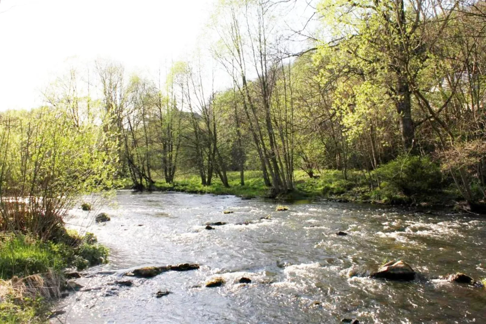 Modernes FERIENHAUS ALLRODE mit Wellness - Areas within 1km in summer