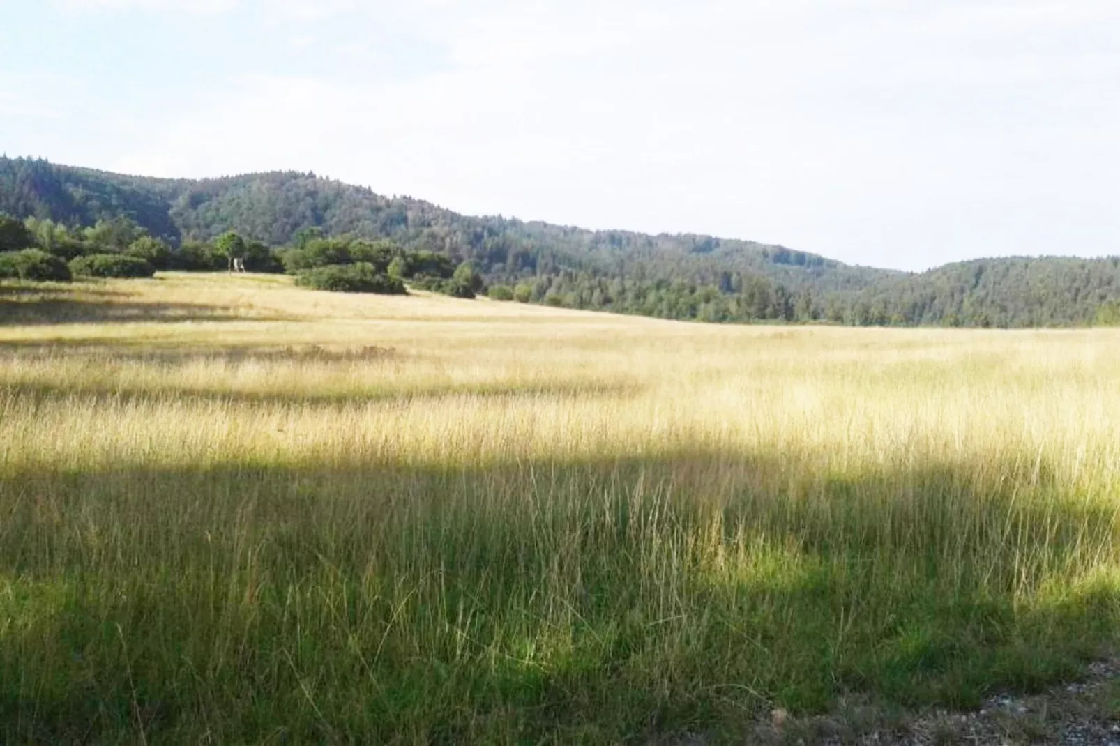 Modernes FERIENHAUS ALLRODE mit Wellness - Areas within 1km in summer