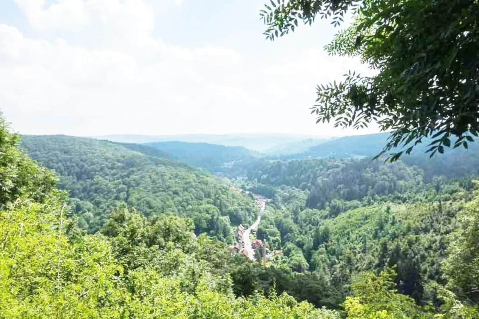 Modernes FERIENHAUS ALLRODE mit Wellness - Areas within 1km in summer