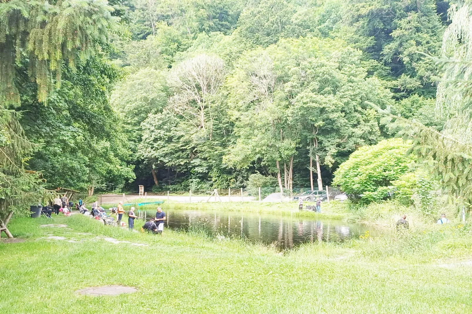 Modernes FERIENHAUS ALLRODE mit Wellness - Areas within 1km in summer