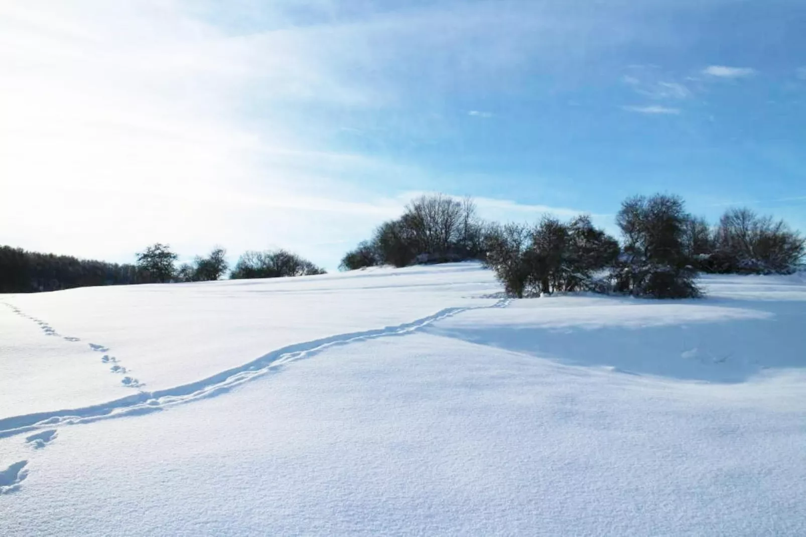 Modernes FERIENHAUS ALLRODE mit Wellness - Area within 1km in winter