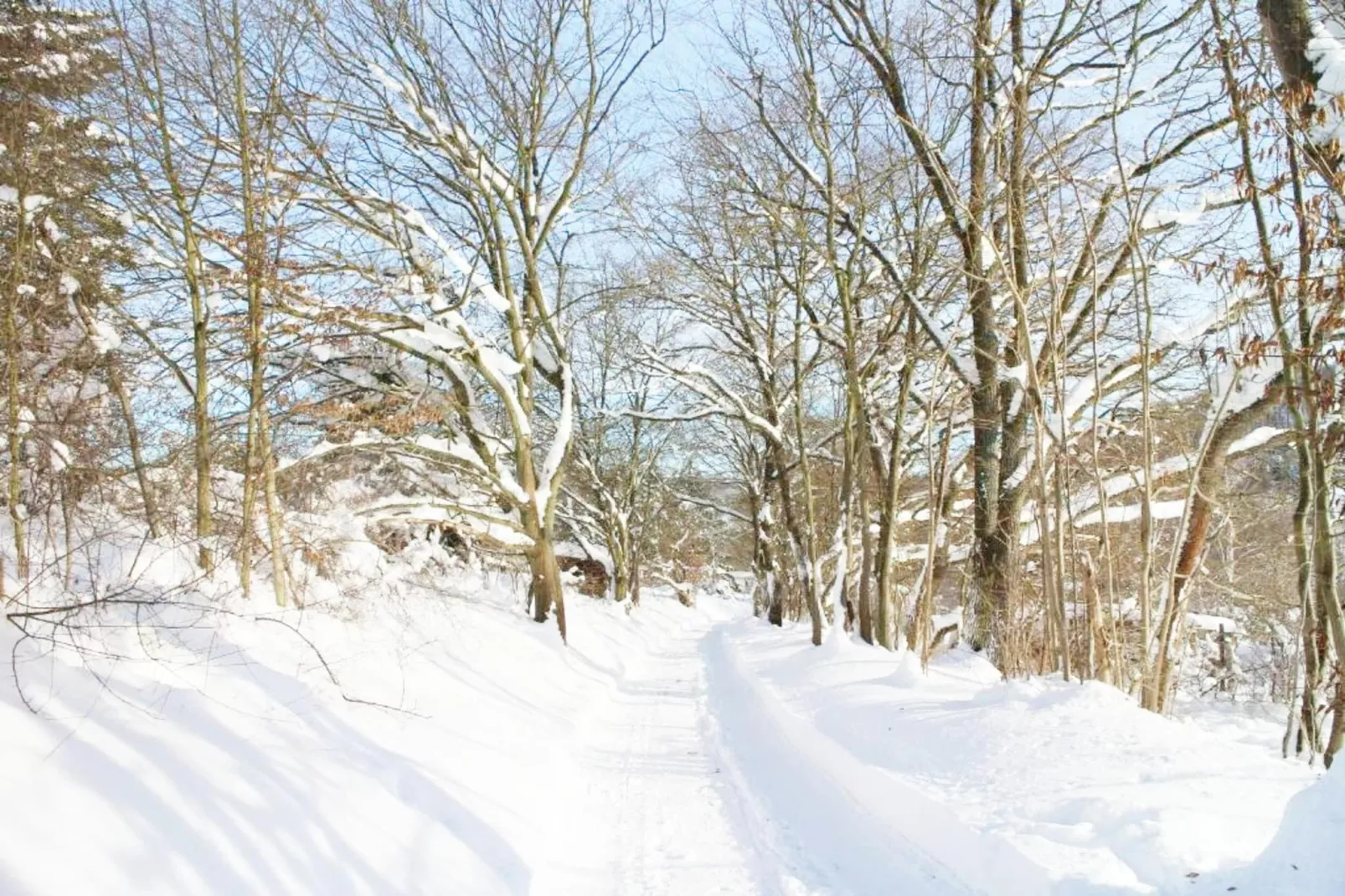 Modernes FERIENHAUS ALLRODE mit Wellness - Area within 1km in winter
