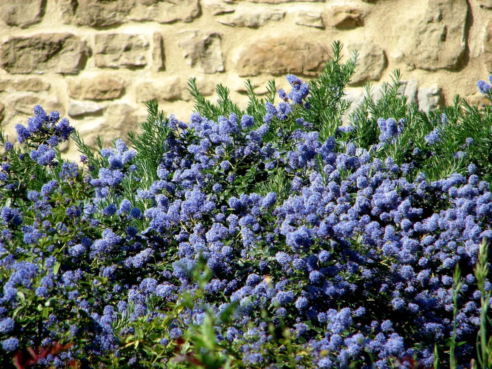 Für sieben Personen mit tollem Blick auf die Hügel des Chianti - Outside
