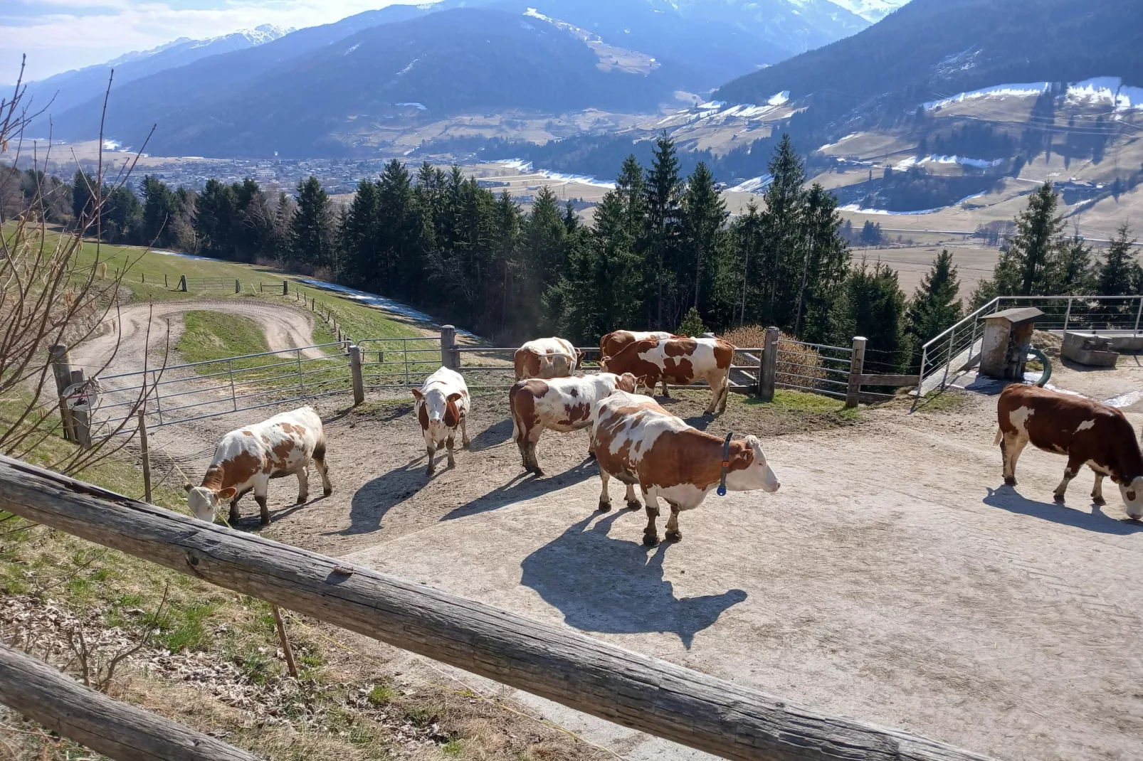 Spielbichl