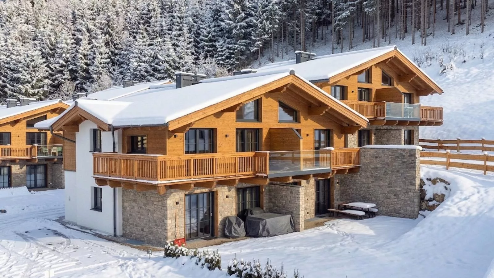 Tauernlodge Eben D1 - Exterior in winter
