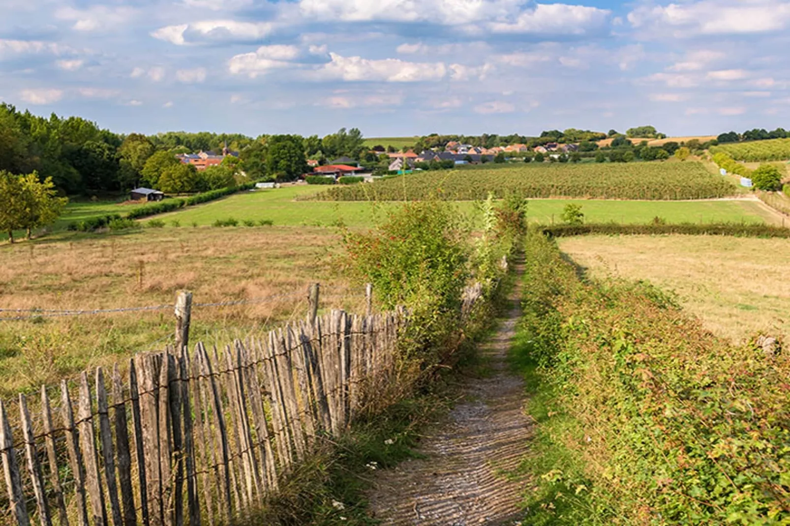 Heers Boven - Gebiete Sommer 5 km