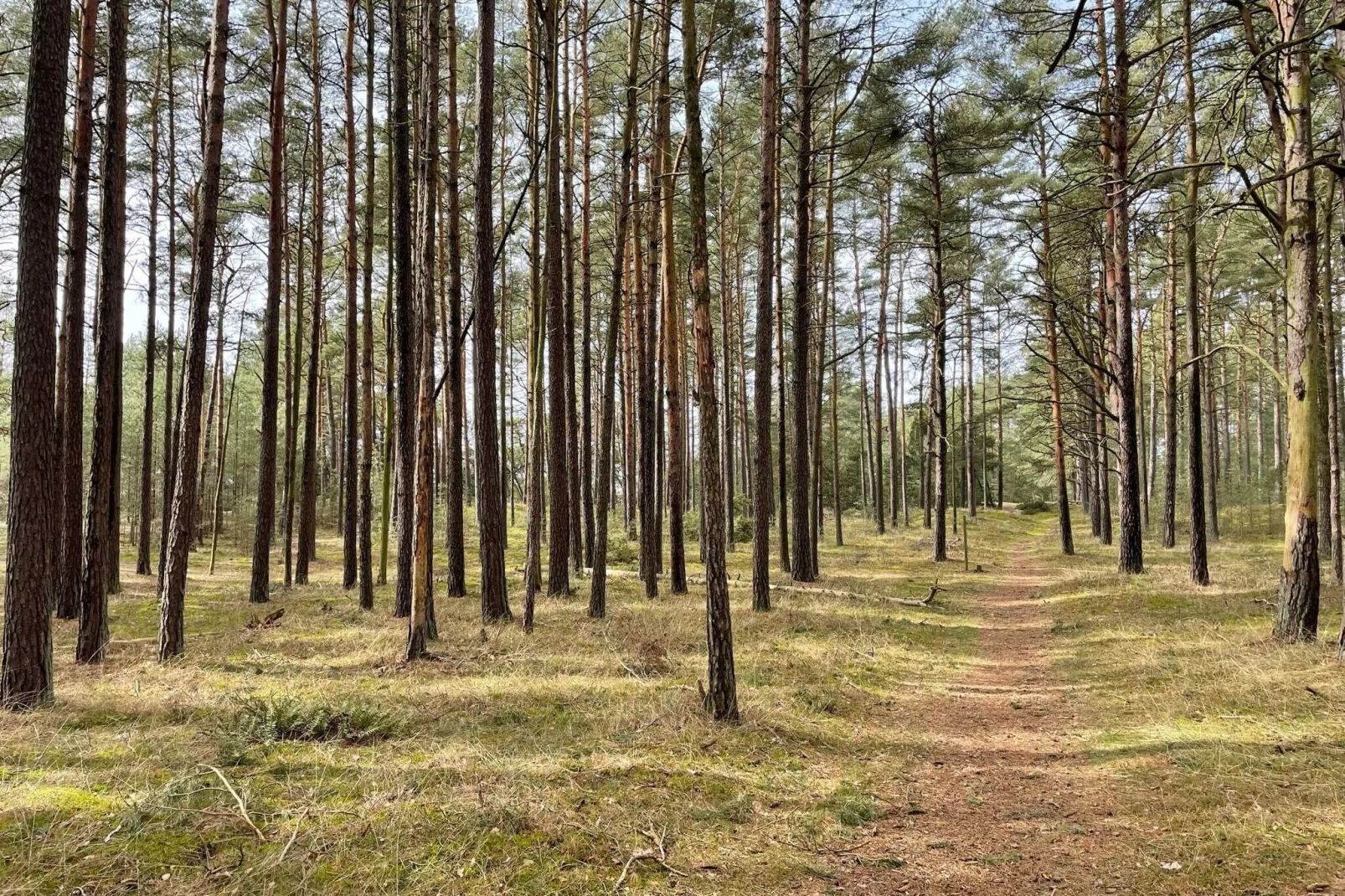 4 Sterne Ferienhaus in YNGSJÖ-By Traum-Innen
