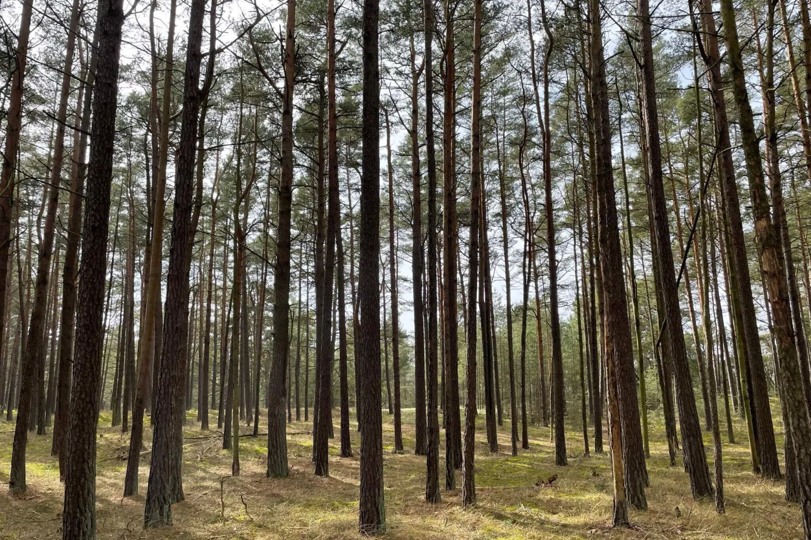 4 Sterne Ferienhaus in YNGSJÖ-By Traum-Innen