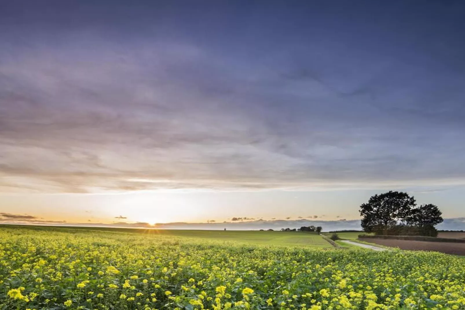 Heers Boven - Gebiete Sommer 5 km
