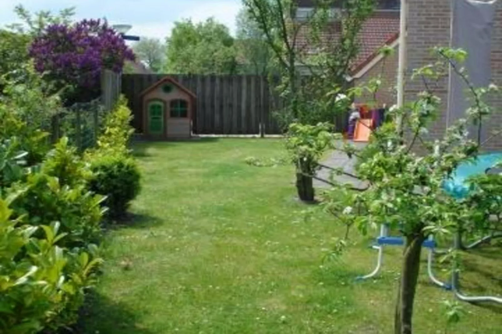 Scheldeveste 163 Zwin Breskens - Garten Sommer