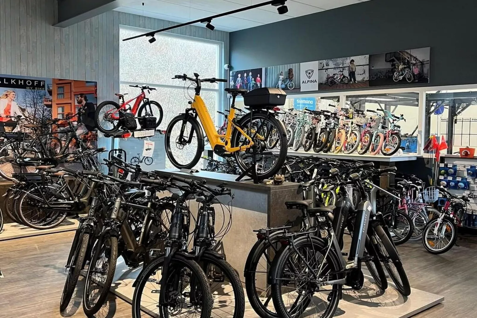 Schoneveld 327 Stern Breskens - Zones été à 1 km