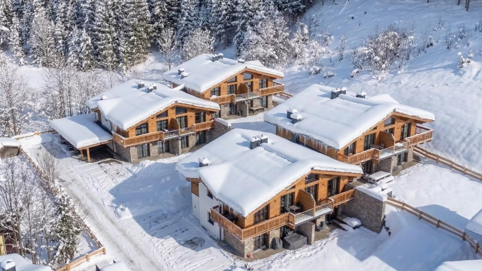 Tauernlodge Eben D1 - Exterior in winter