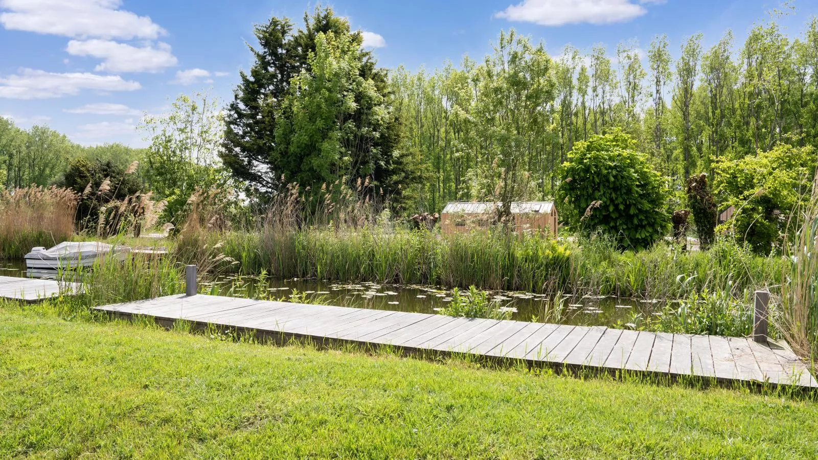 Amsterdam - View in summer