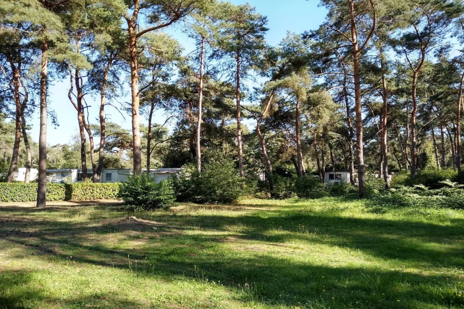 L'Ecureuil - Areas within 1km in summer