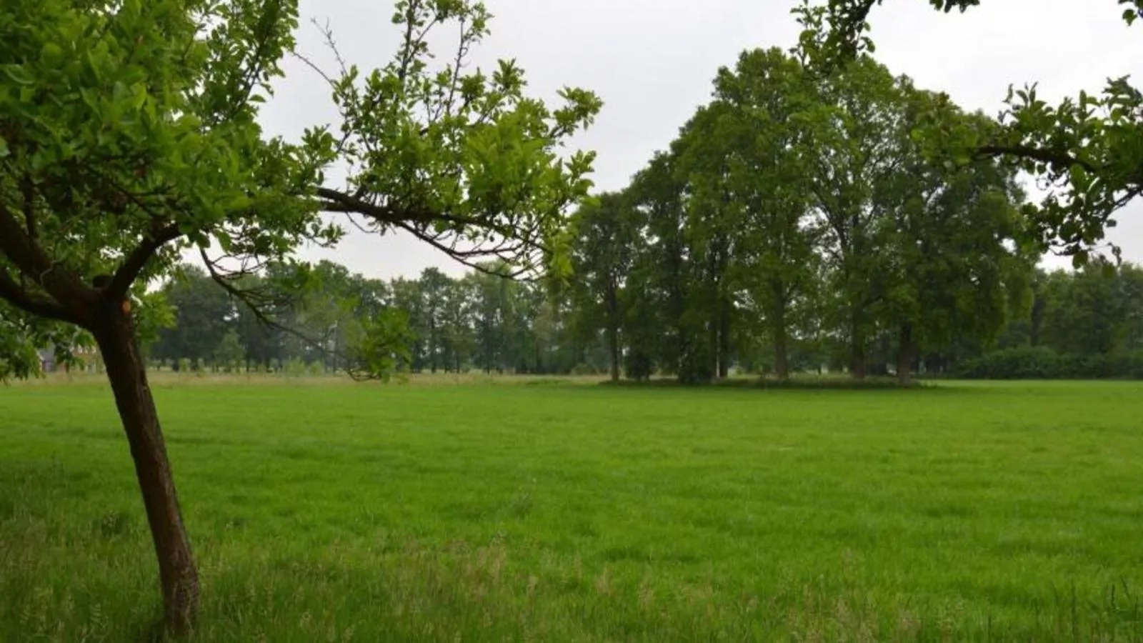 Huus in t Hagt - Aussicht Sommer