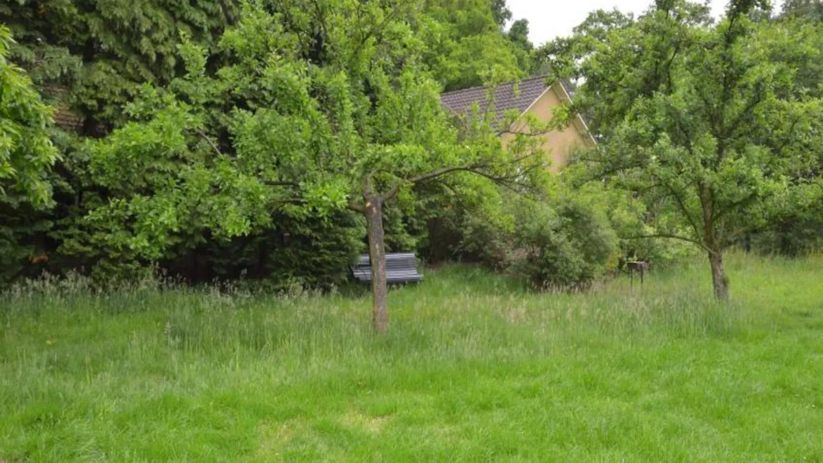 Huus in t Hagt - Aussicht Sommer