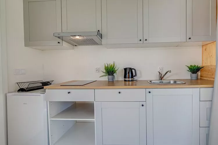 Domki 4-osobowe-Kitchen