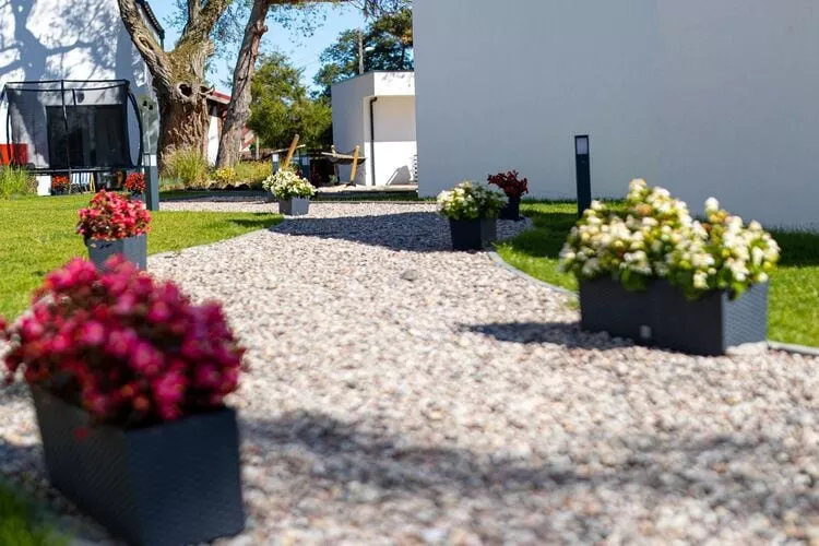 Domki 4-osobowe-Exterior summer