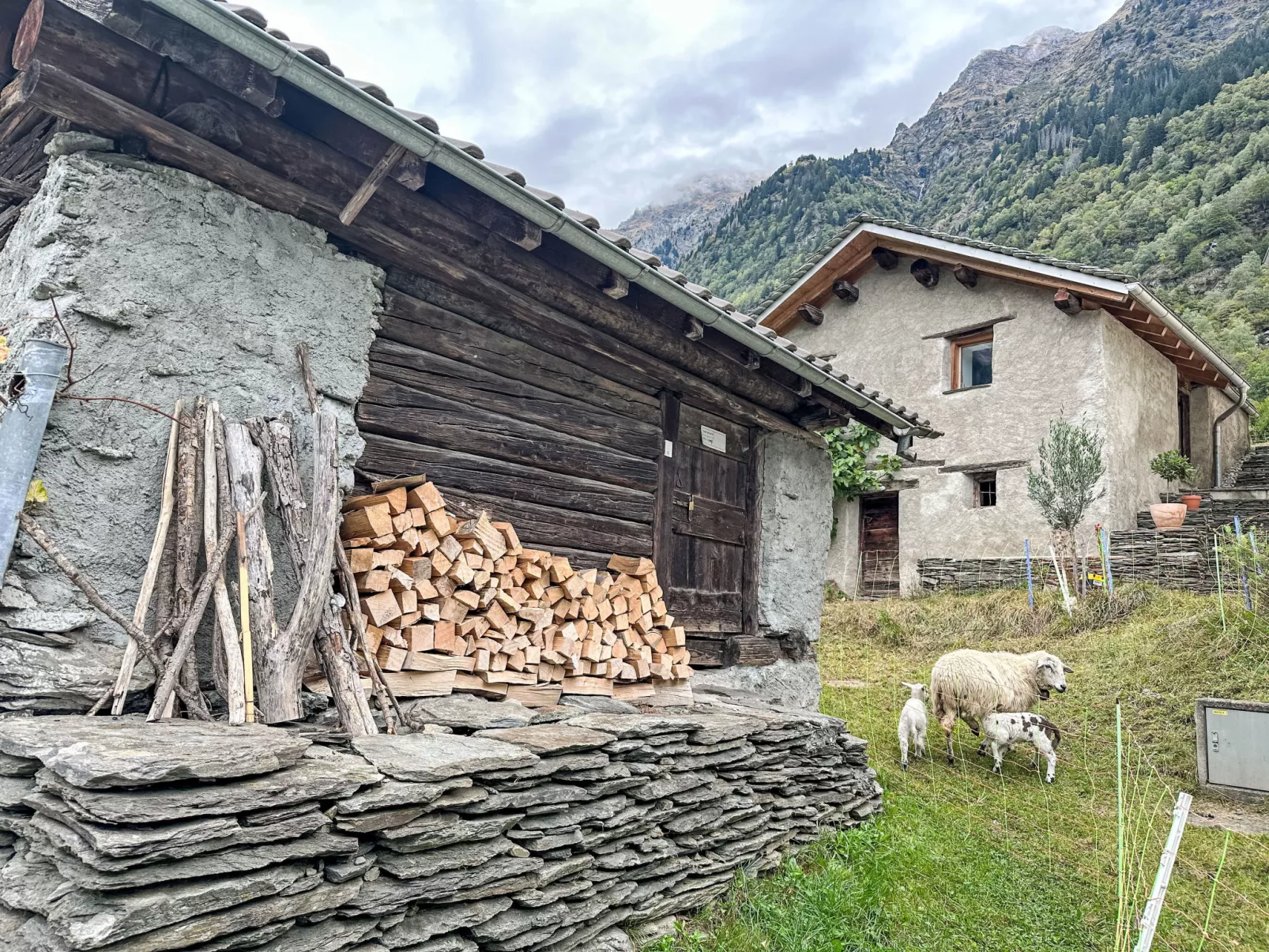 Waterfall House - Draußen