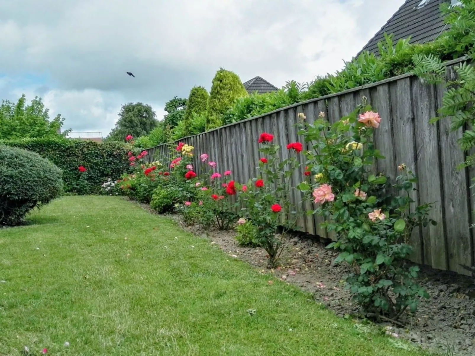 Haus Meeresbrise Wohn. Nr. 3 mit Balkon - Draußen
