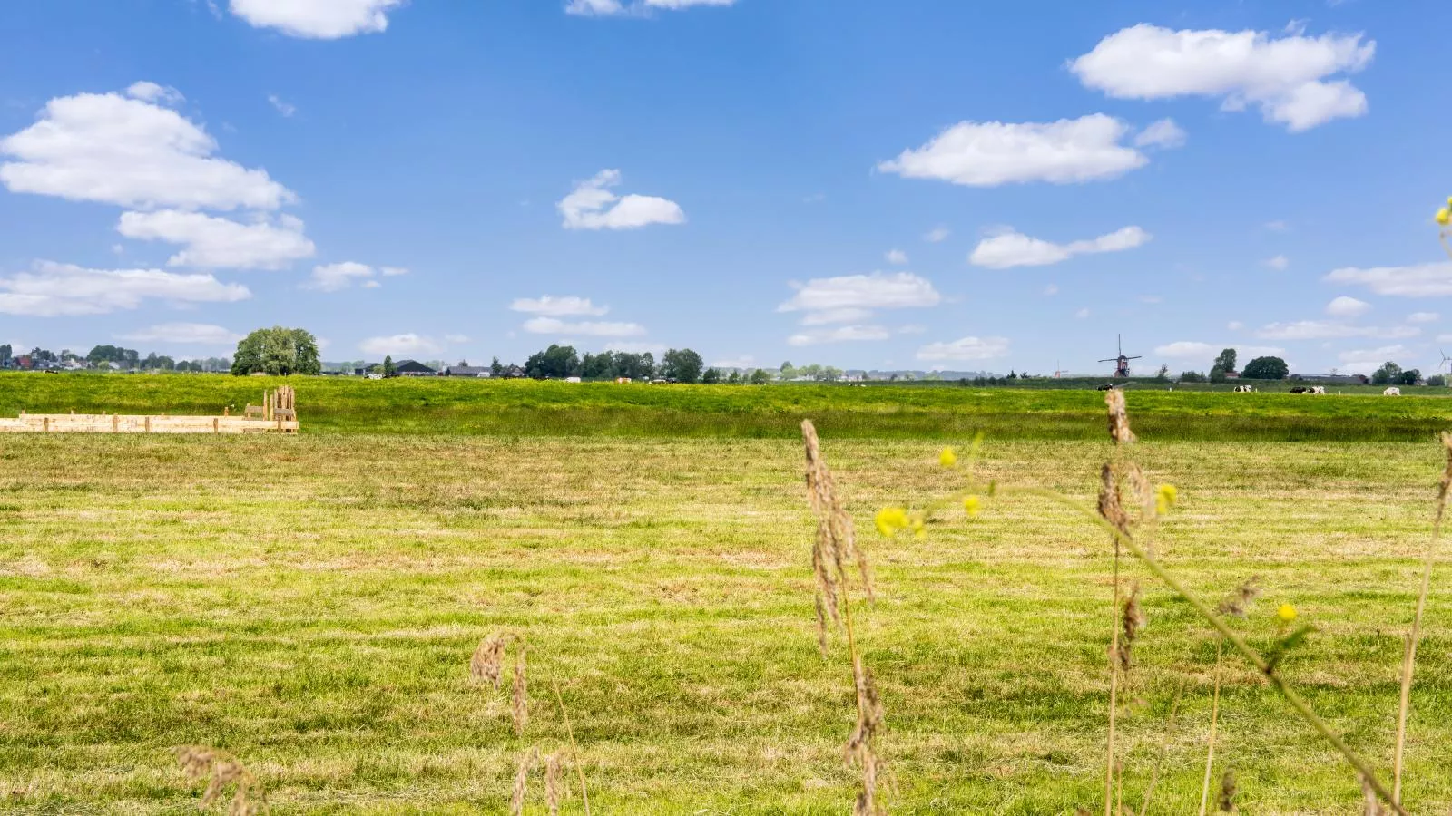 Bollen - Aussicht Sommer