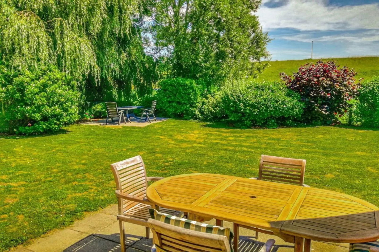 Scheldeveste 52 Zwin Breskens - Garten Sommer