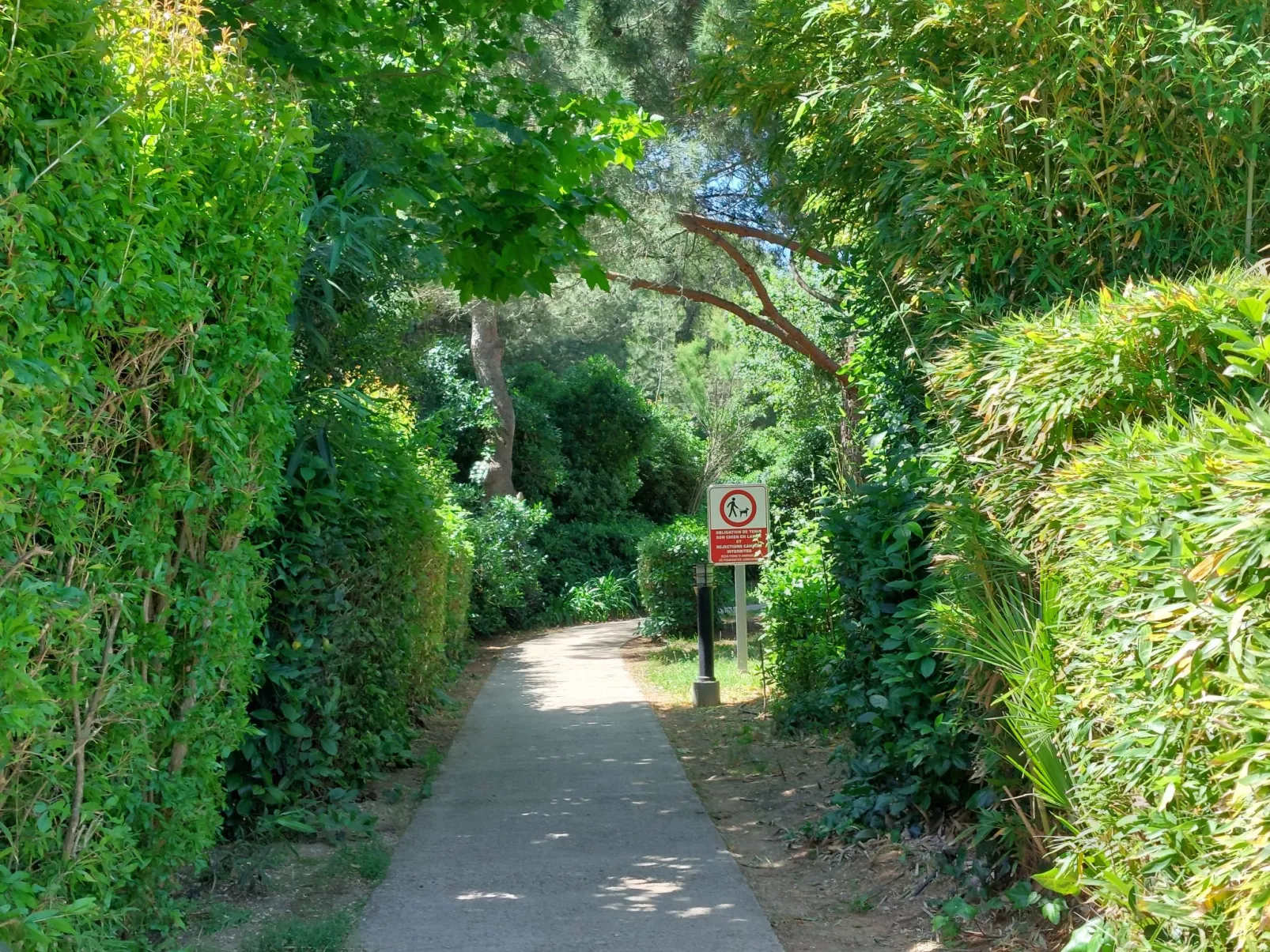 Le Grand Large - Dehors