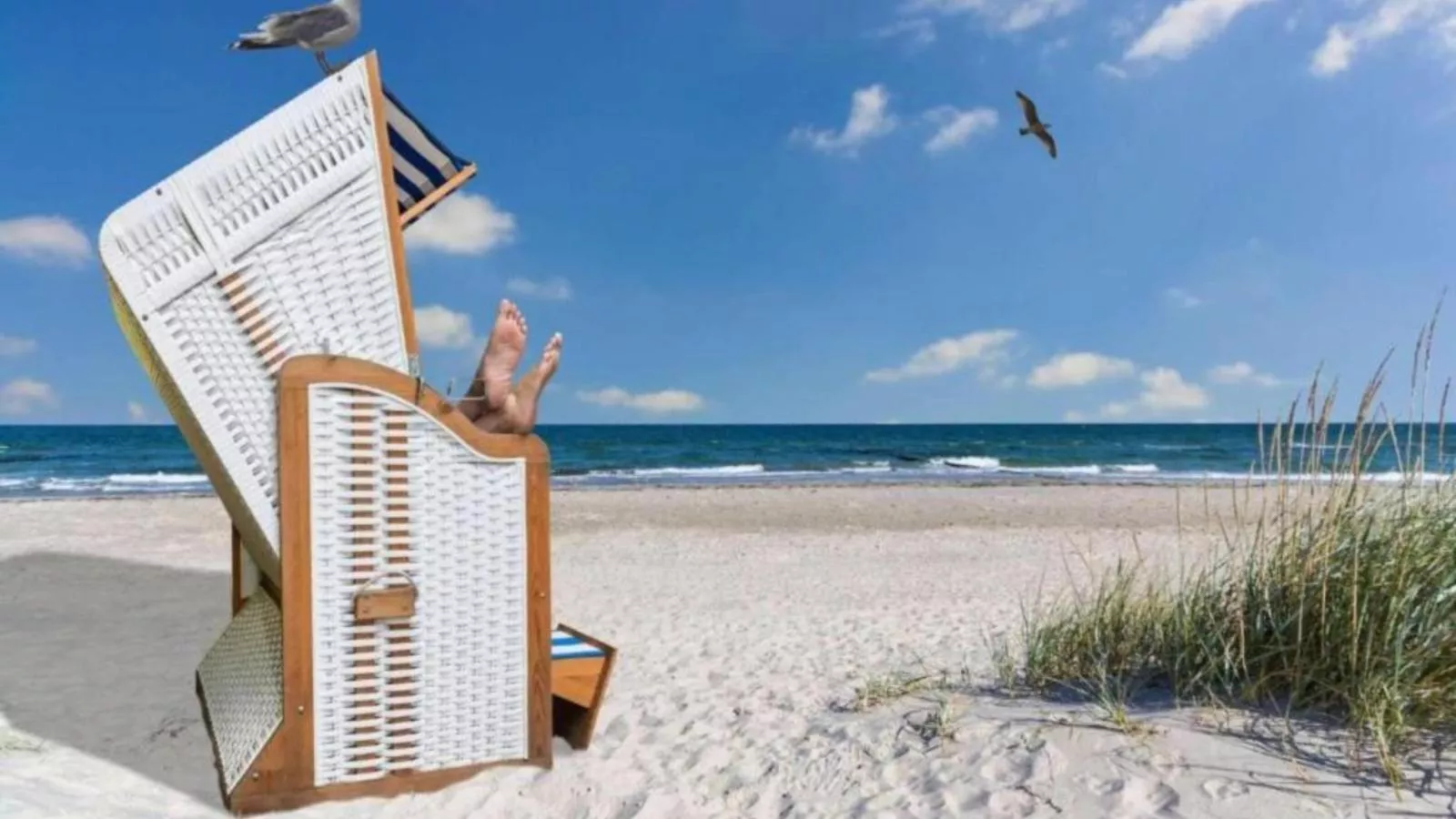 Lee - Gebiete Sommer 20 km