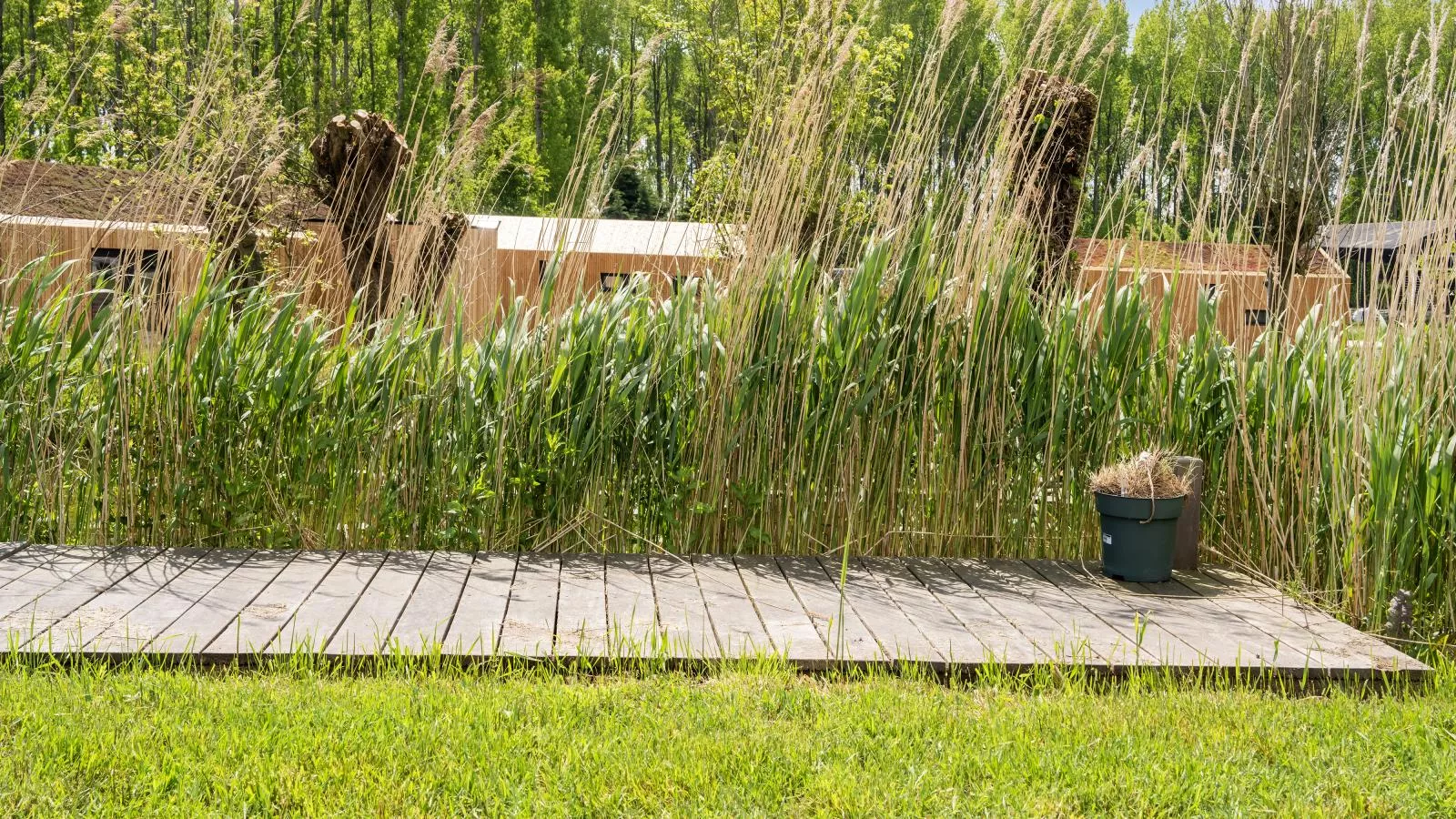 Strand - Gardens in summer