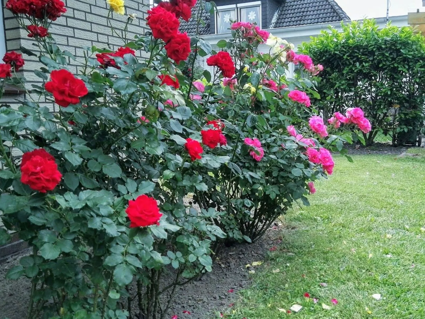 Haus Meeresbrise Wohn.Nr. 8 mit Balkon - Outside