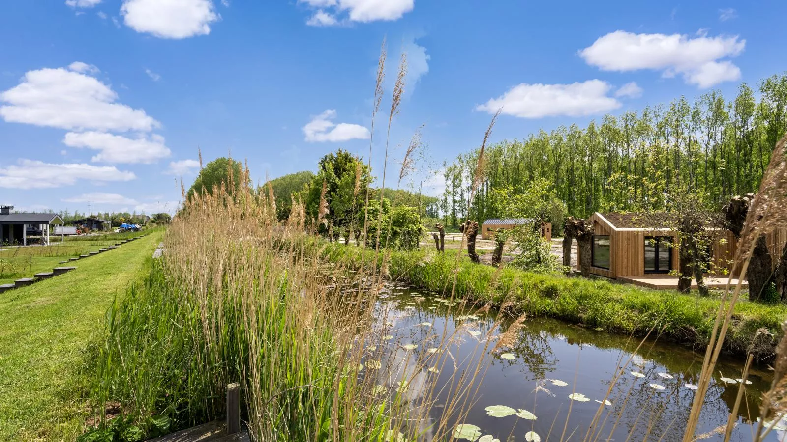 Strand - View in summer