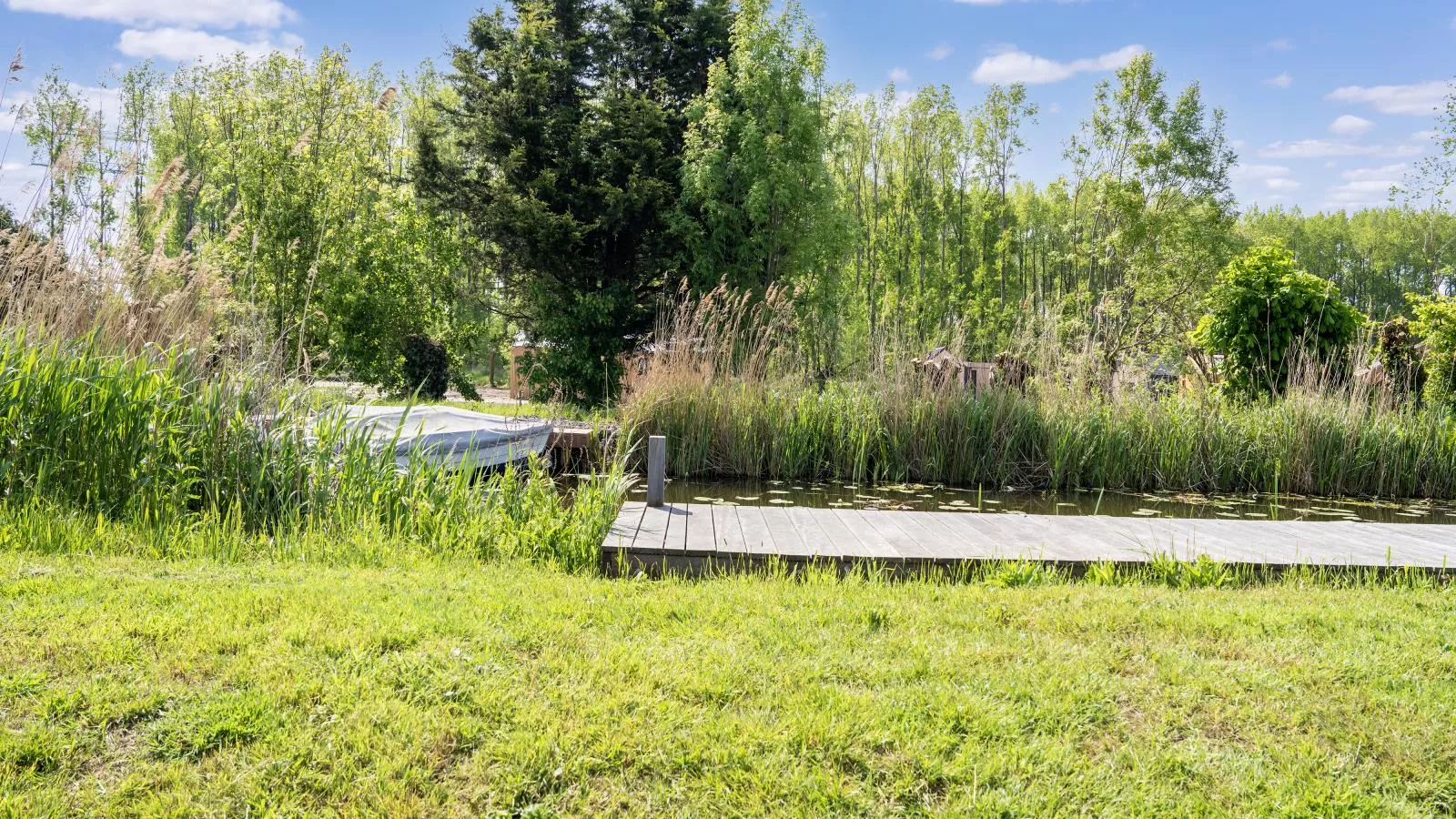 Polder - Aussicht Sommer