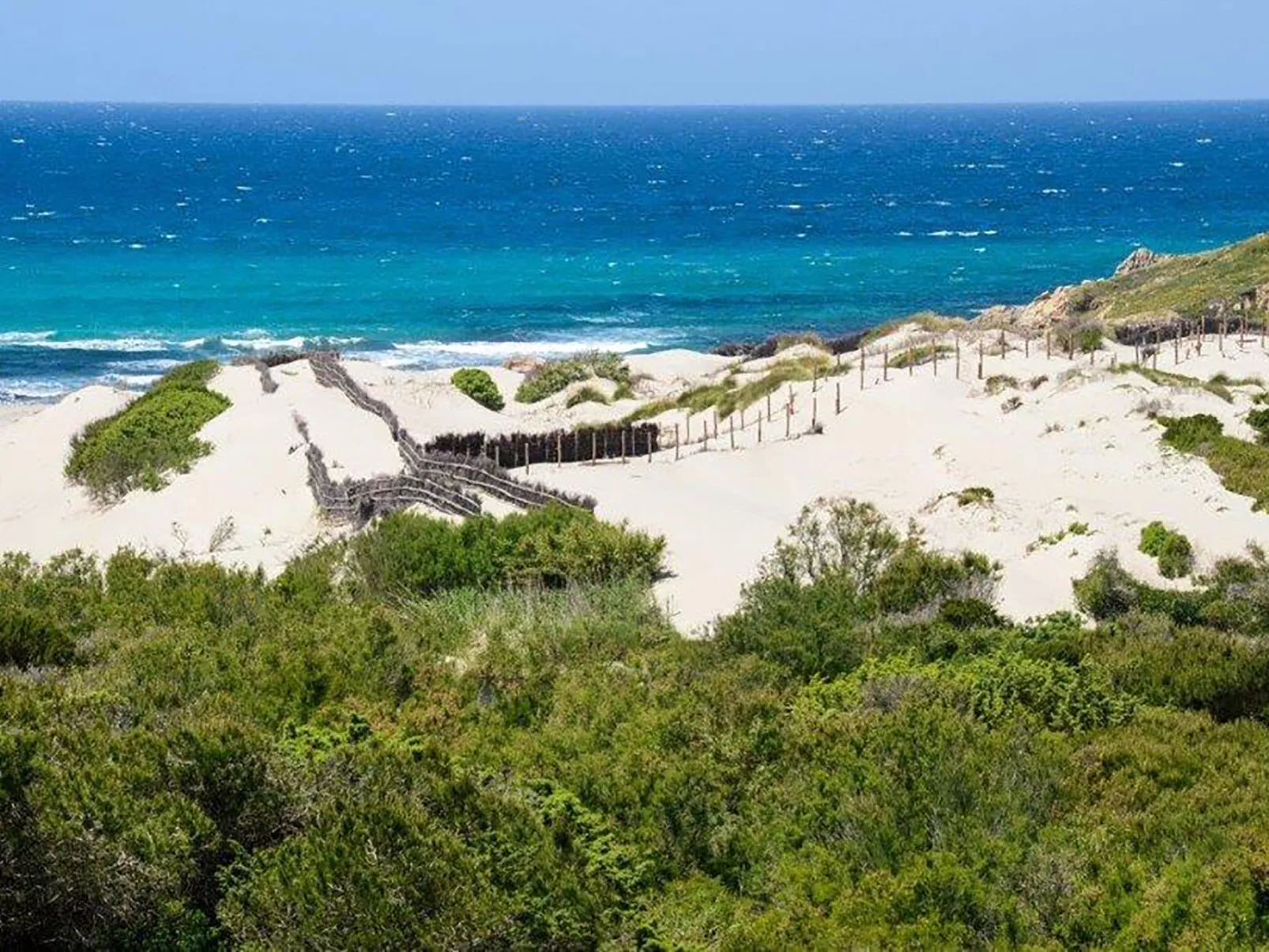 Sunflowers - Umgebung