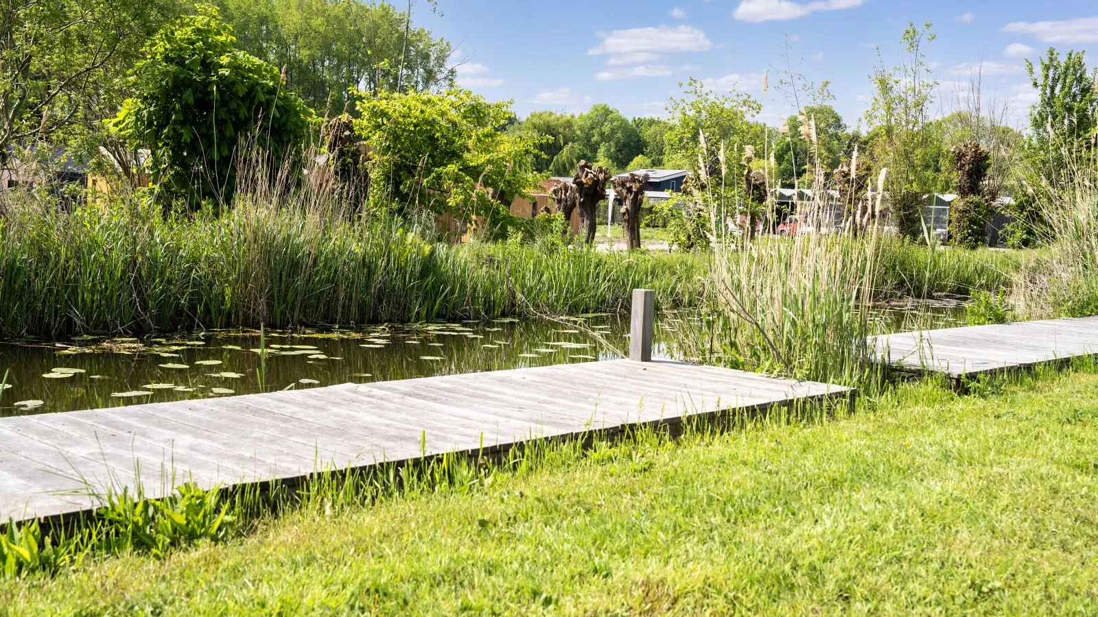 Polder - Garten Sommer