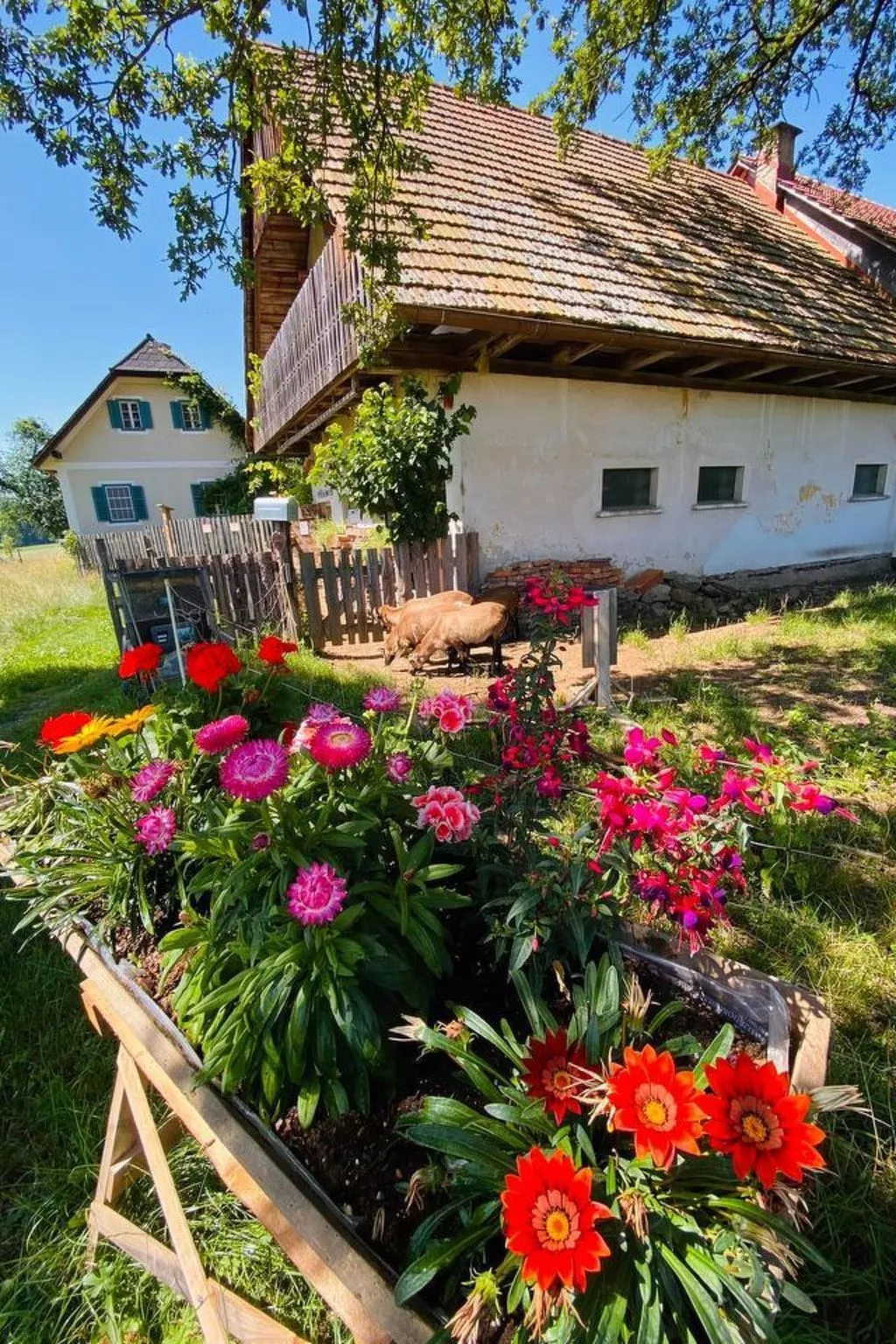 Kellerstöckl am veganen Bio-Lebenshof - Varm - the vegan Farm - Draußen