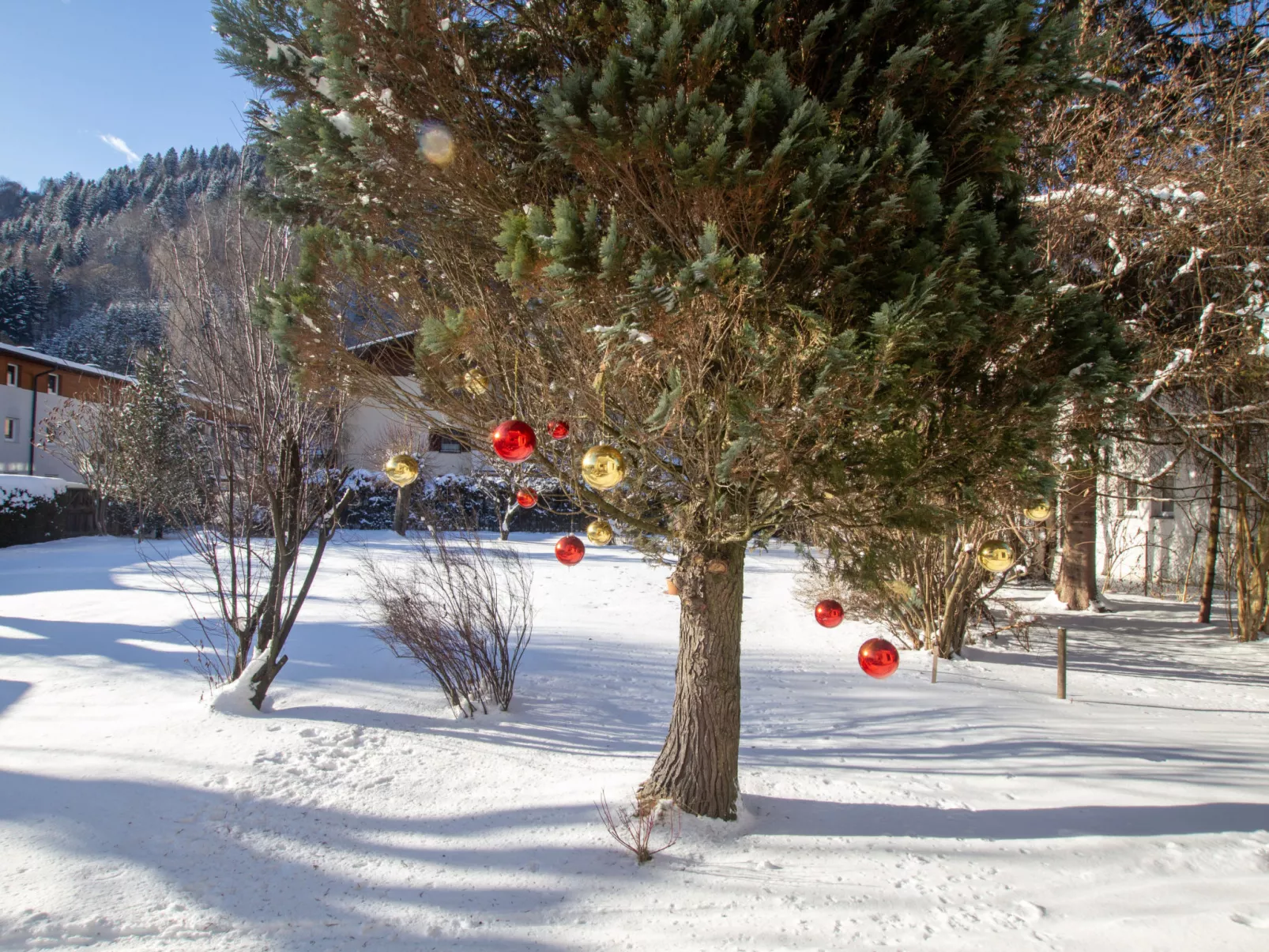 Panorama App 1A Zell am See - Inside