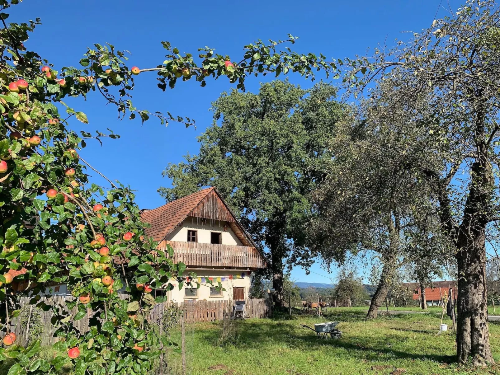 Kellerstöckl am veganen Bio-Lebenshof - Varm - the vegan Farm - Draußen