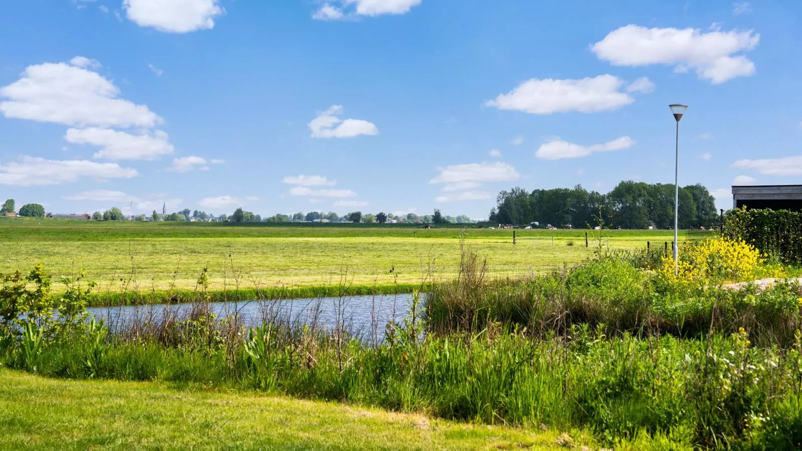 Leiden - Aussicht Sommer