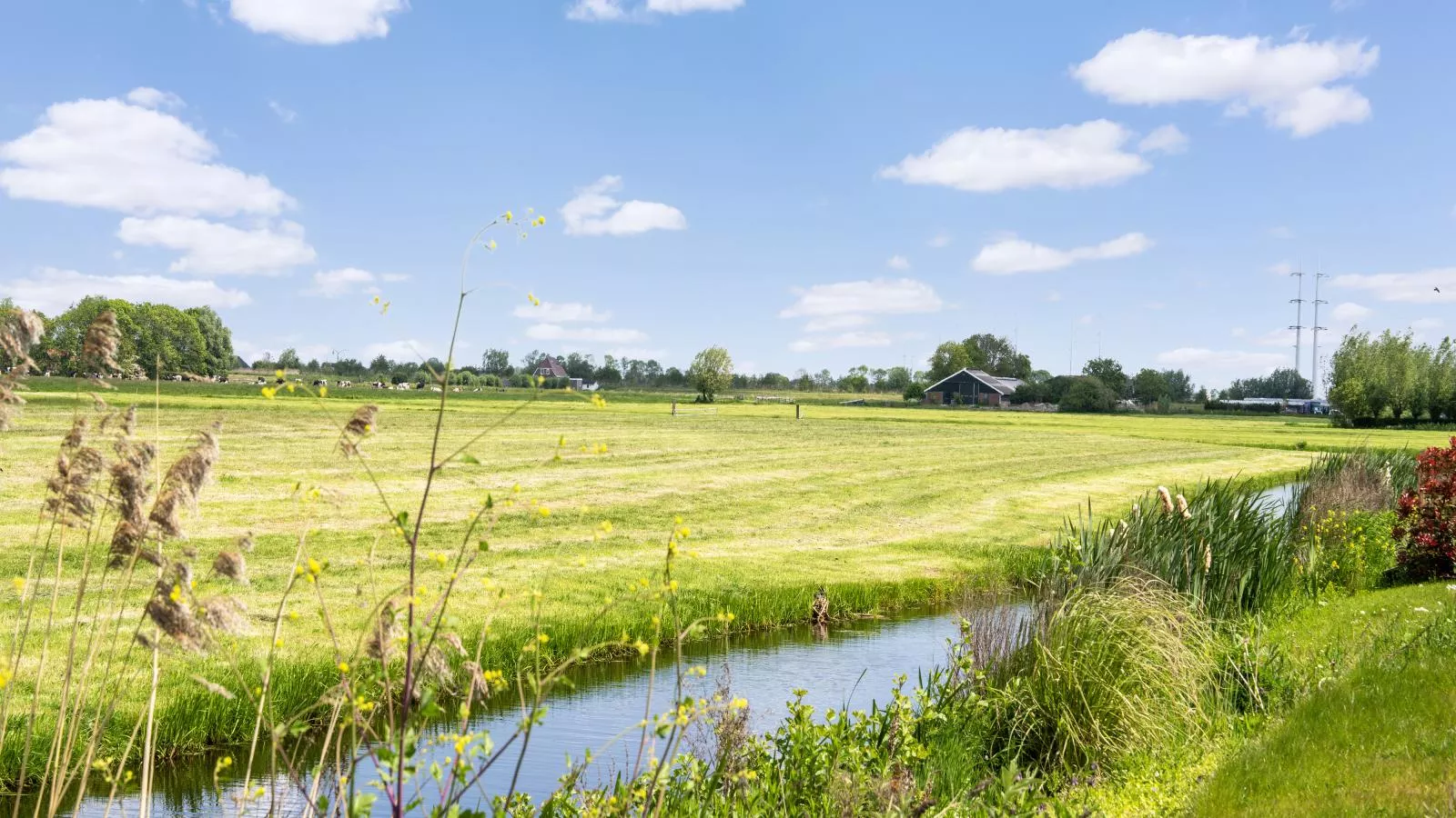 Bollen - Wasserblick