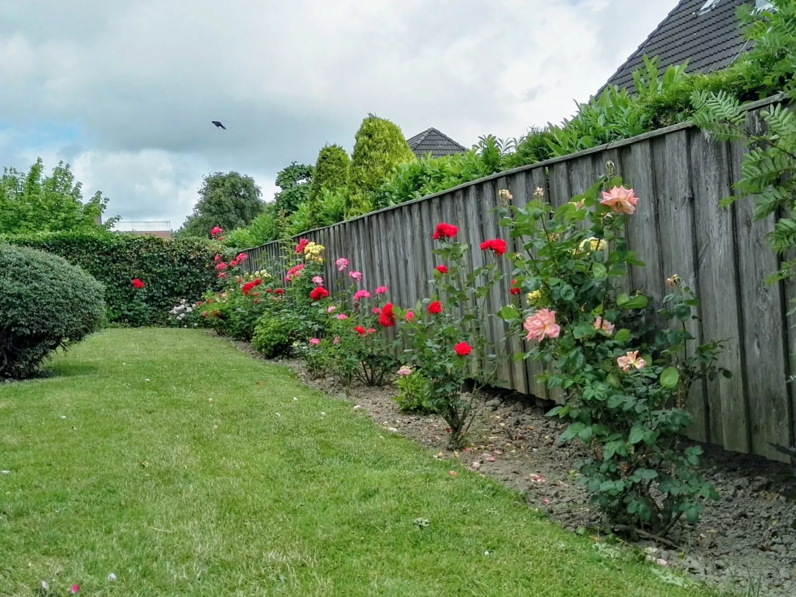 Haus Meeresbrise Wohn. Nr 6 mit Terrasse (copy) (copy) - Draußen