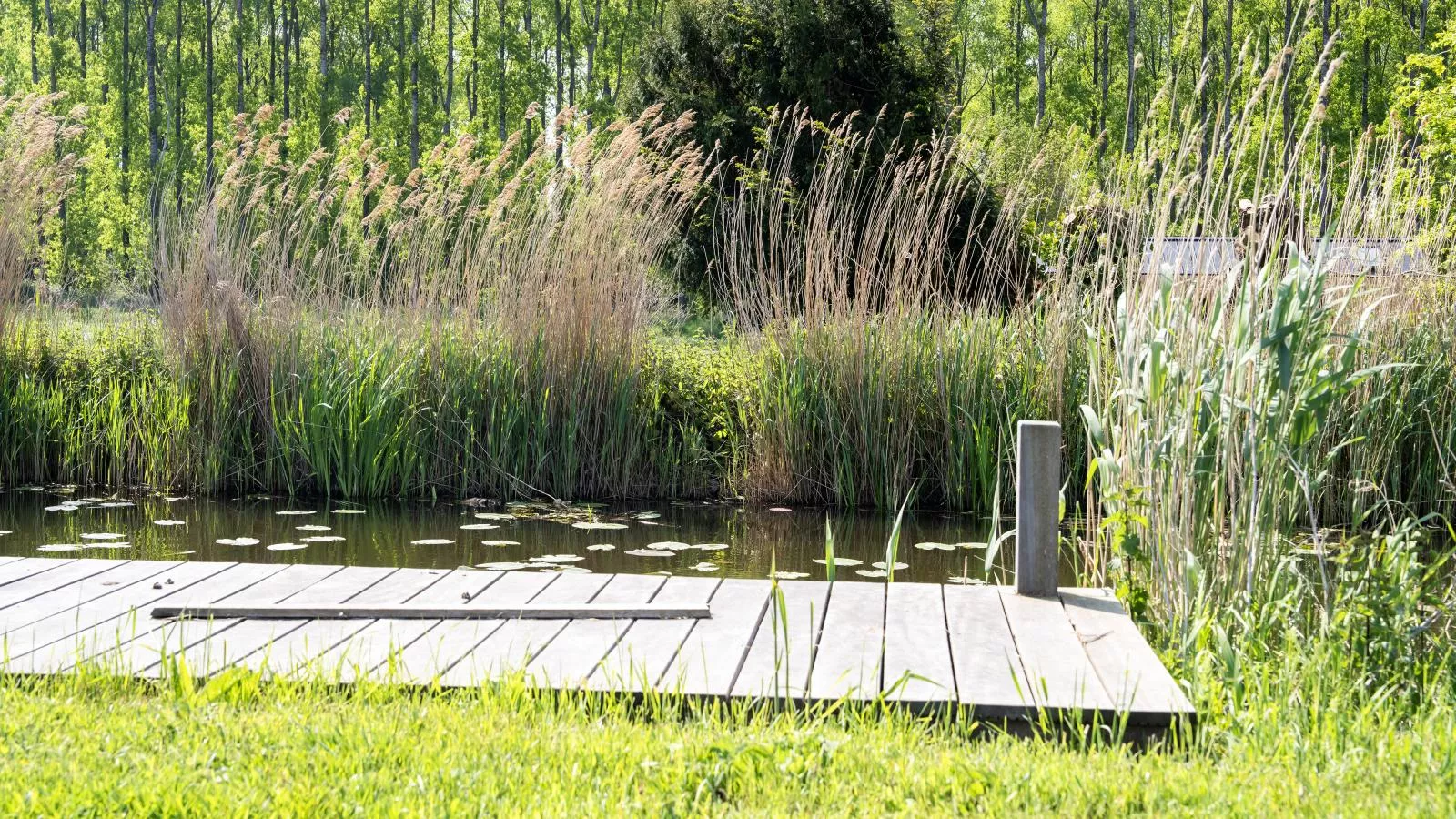Leiden - Ausstattung