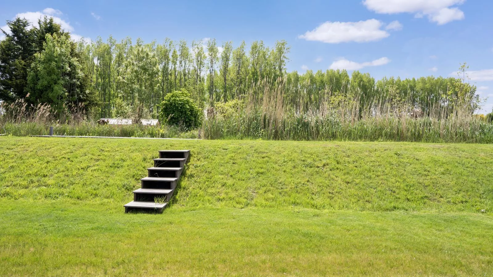 Amsterdam - Gardens in summer