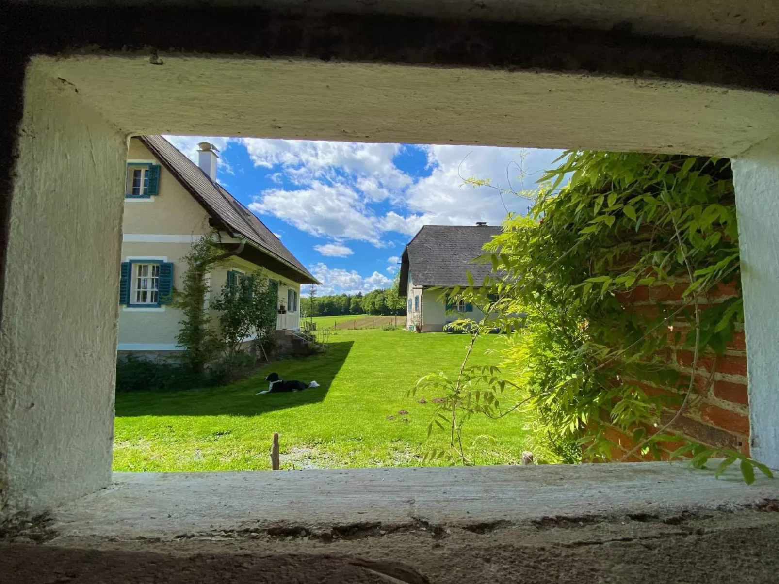 Kellerstöckl am veganen Bio-Lebenshof - Varm - the vegan Farm - Draußen
