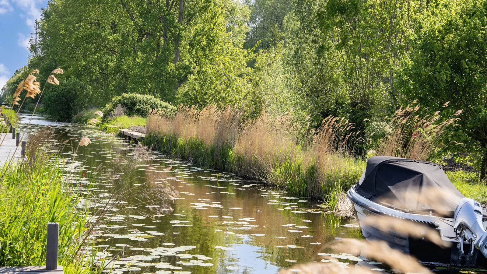 Leiden - Aussicht Sommer