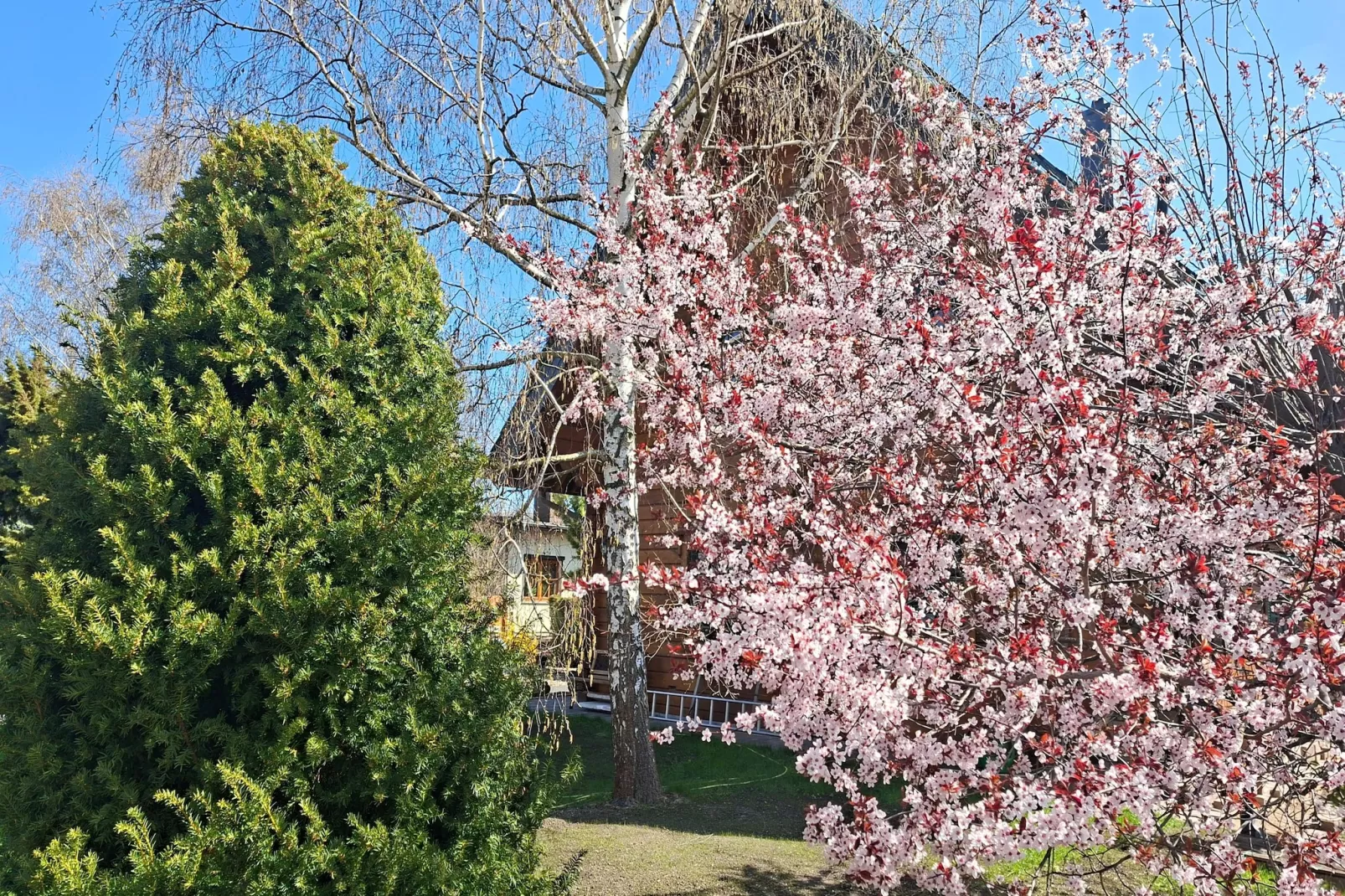 Ferienwohnung OG Staßfurt Schnittke - Jardins en été