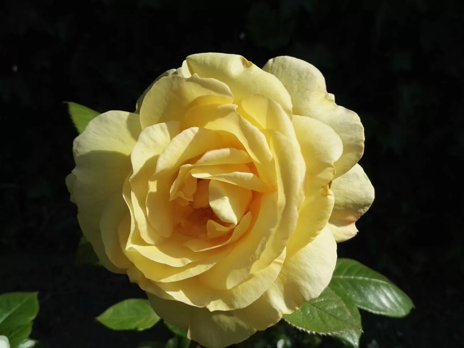 Haus Meeresbrise Wohn.Nr. 7 mit Balkon - Outside