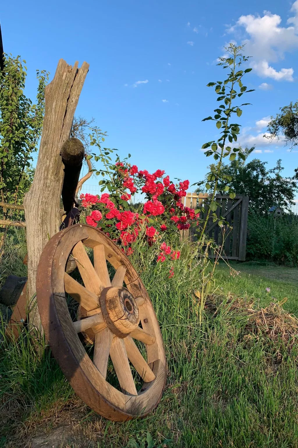 Kellerstöckl am veganen Bio-Lebenshof - Varm - the vegan Farm - Draußen