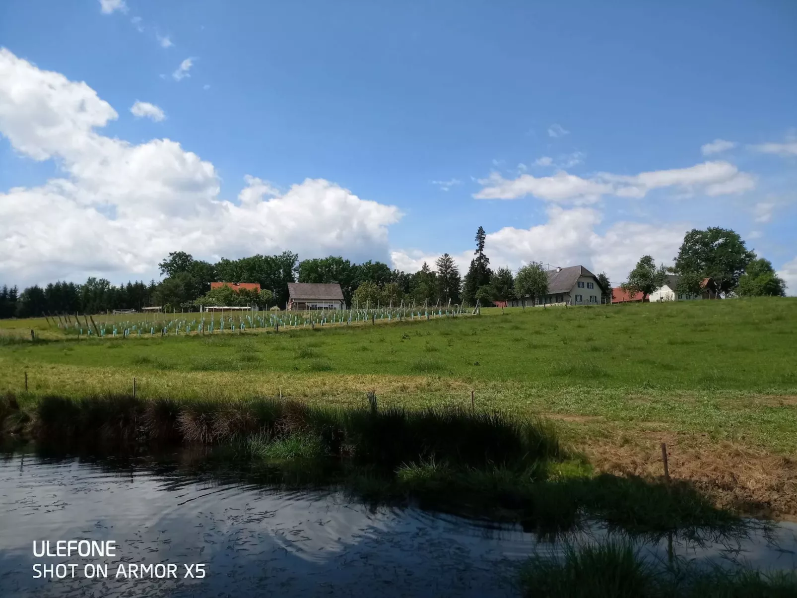 Kellerstöckl am veganen Bio-Lebenshof - Varm - the vegan Farm - Draußen