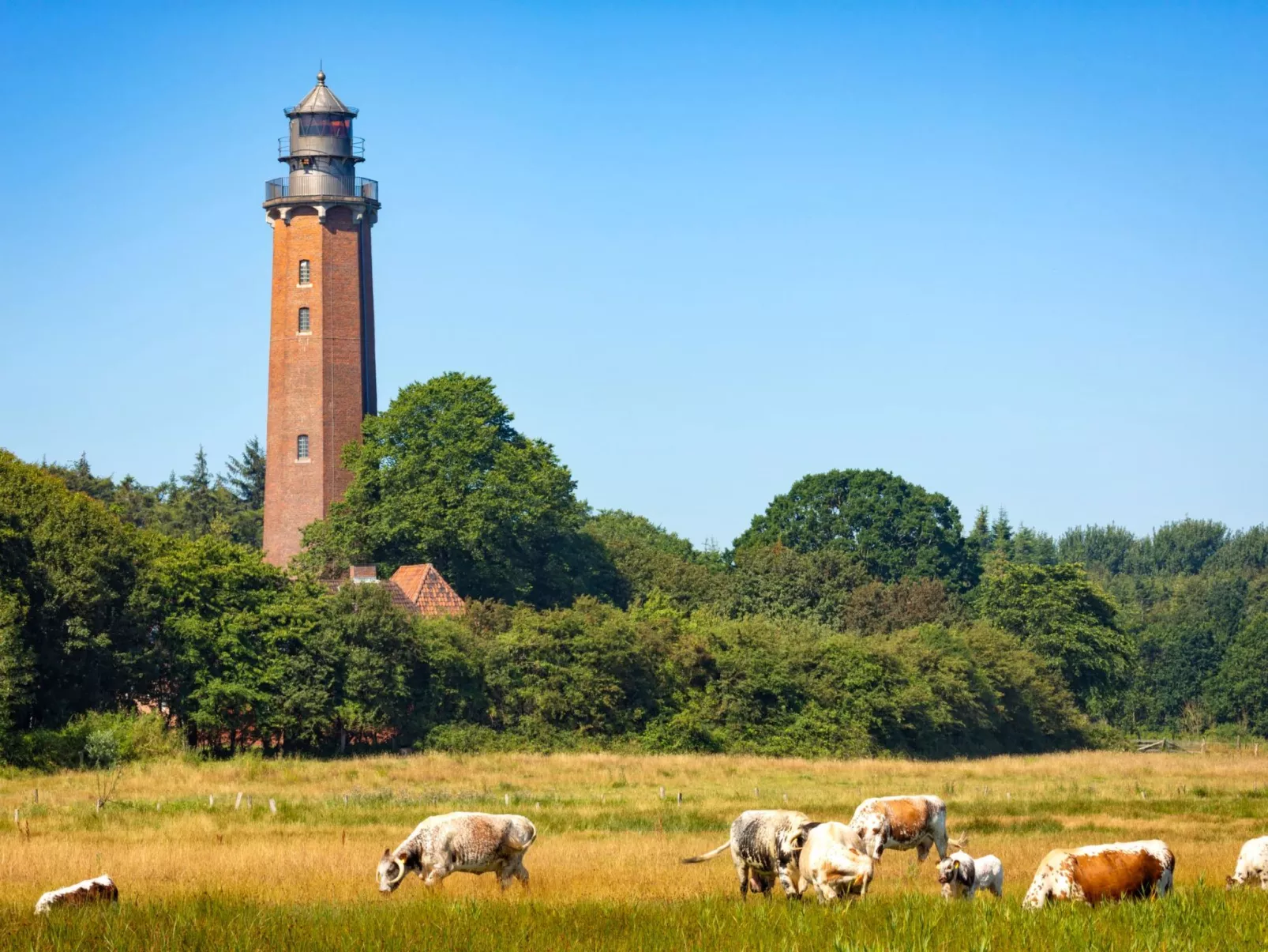 Hey Beachvilla - Draußen